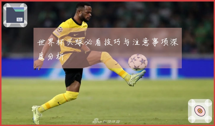 世界杯买球必看技巧与注意事项深度分析