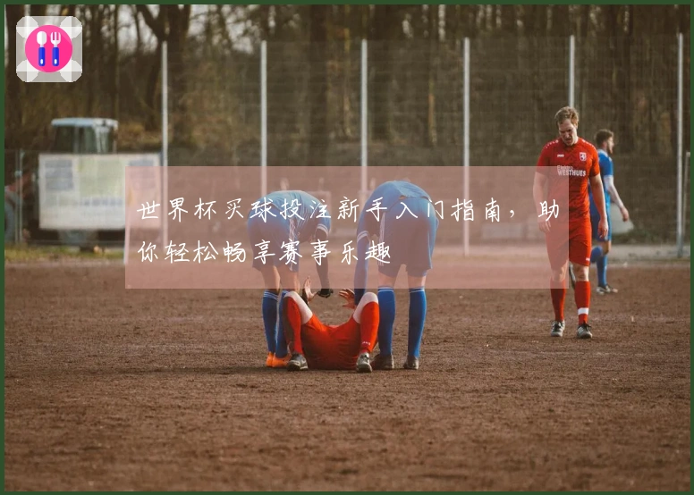 世界杯买球投注新手入门指南，助你轻松畅享赛事乐趣
