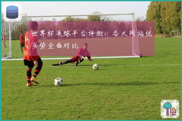 世界杯滚球平台评测，各大网站优劣势全面对比
