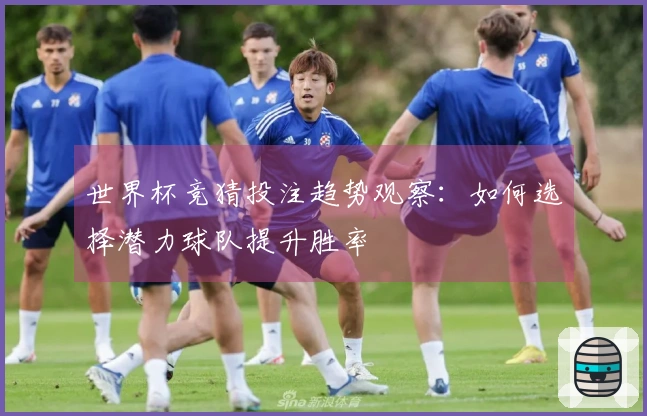 世界杯竞猜投注趋势观察：如何选择潜力球队提升胜率