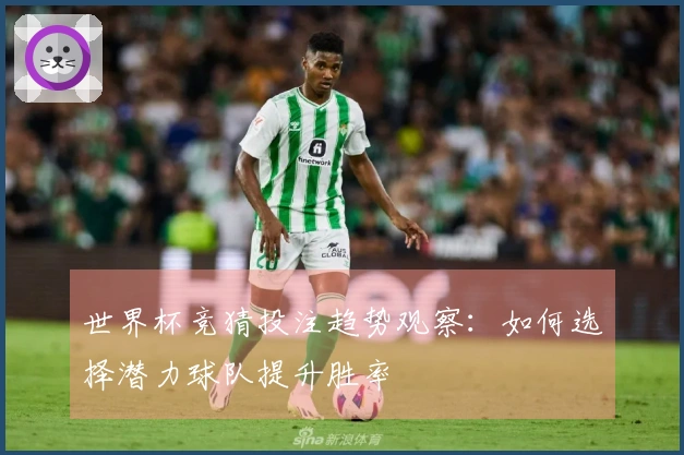 世界杯竞猜投注趋势观察：如何选择潜力球队提升胜率