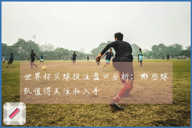 世界杯买球投注盘口分析：哪些球队值得关注和入手